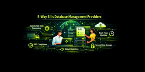 E-way bills database management providers