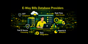 E-way bills database providers