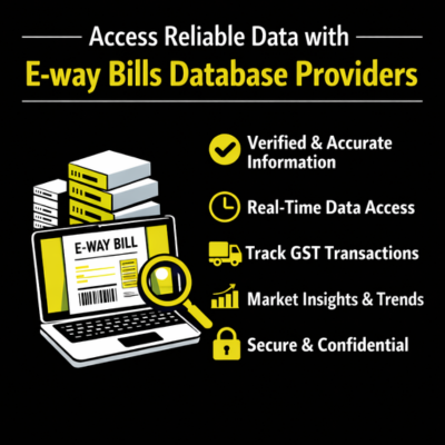 E-way bills database providers