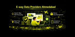 E-way data providers Ahmedabad
