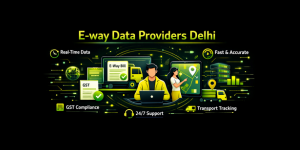 E-way data providers Delhi