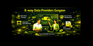 E-way data providers Gurgaon