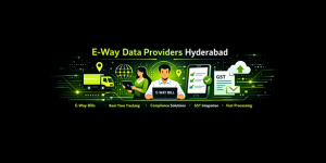 E-way data providers Hyderabad