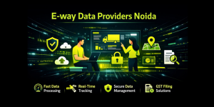 E-way data providers Noida