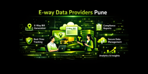 E-way data providers Pune
