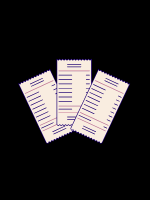 Custom Report Generation