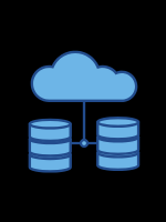 Centralized Data Storage