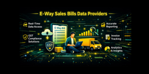 E-way sales bills data providers