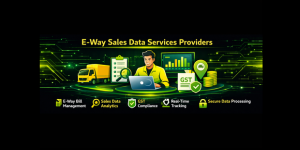 E-way sales data services providers