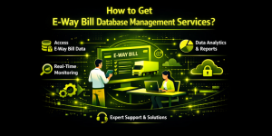 How to get e-way bill database management services