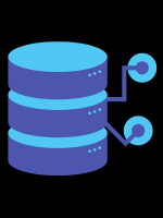 Centralized Database