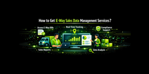 How to get e-way sales data management services?