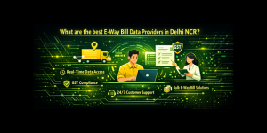What are the best e-way bill data providers in Delhi NCR