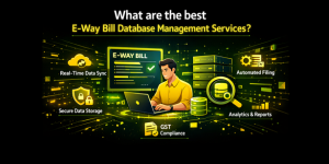 What are the best e-way bill database management services