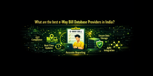 What are the best e-way bill database providers in India