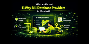 What are the best e-way bill database providers in Mumbai