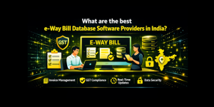 What are the best e-way bill database software providers in India?