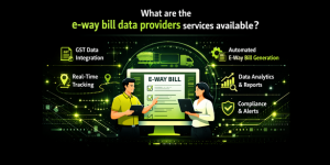 What are the e-way bill data providers services available