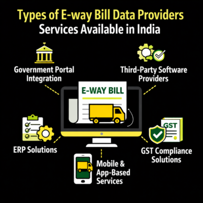 What are the e-way bill data providers services available