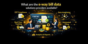 What are the e-way bill data solutions providers available